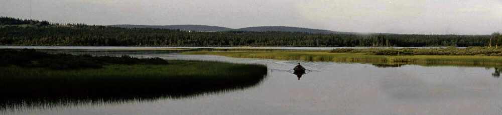 Berättelser, foton och släktdata